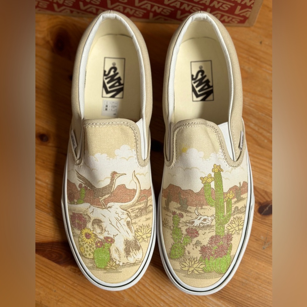 Vans Desert Vibes Rare slide-on shoes